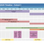 2024-2025 Timeline - Cohort 1